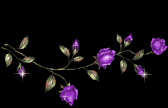 roselline viola-verticale